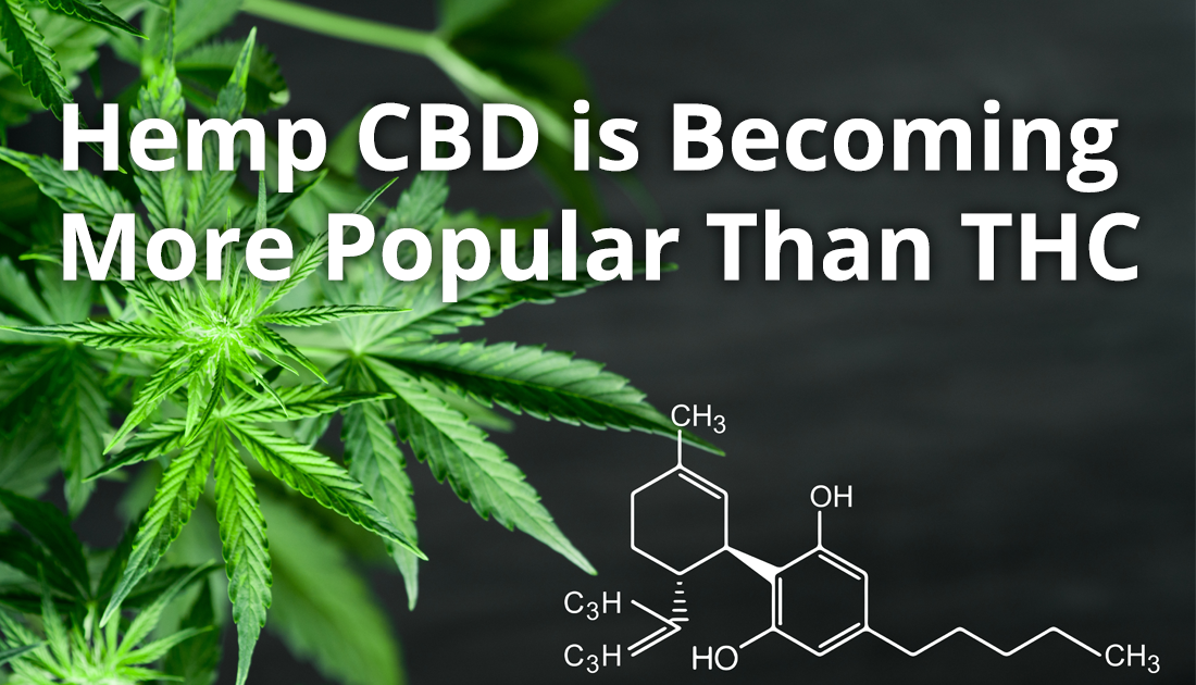 Hemp CBD is Becoming More Popular Than THC