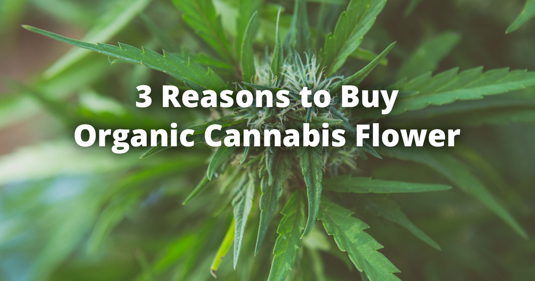 3 Reasons to Buy Organic Cannabis Flower