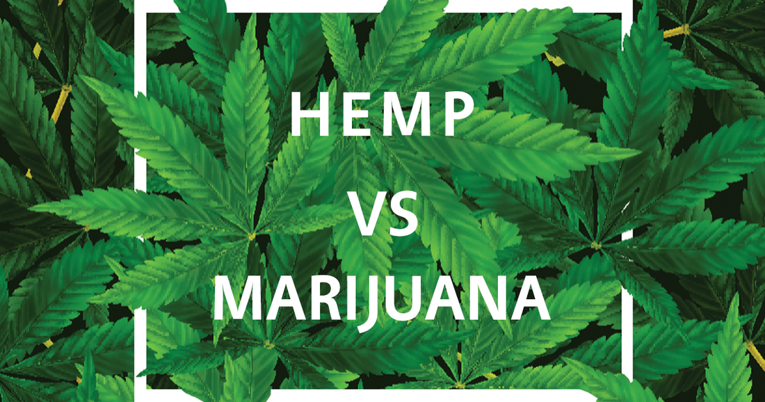 Hemp vs Marijuana - Ruby's Happy Farm CBD Shop